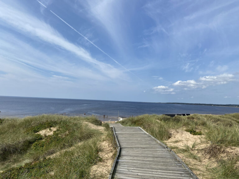 Du tål väl lite kritik?